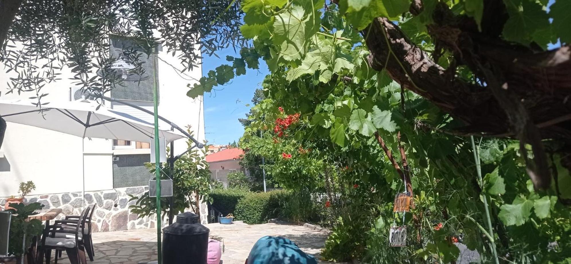 Alojamento Local Os Maias Mirandela Luaran gambar