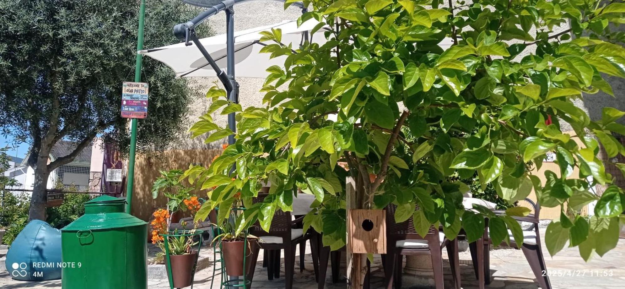Alojamento Local Os Maias Mirandela Luaran gambar